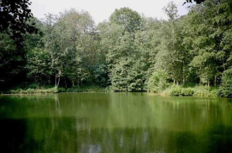 Deb 035 Ferienwohnung Im Westerwald Freirachdorf Esterno foto